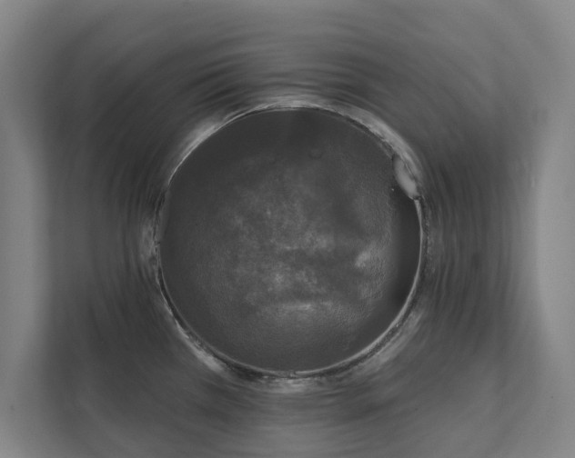 X0000111421385200907201039