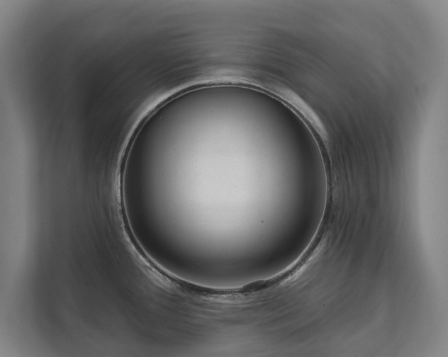 X0000111421388200907201039