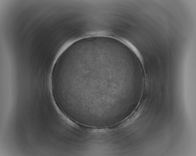 X0000111421389200907201039