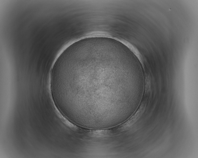 X0000111421390200907201039