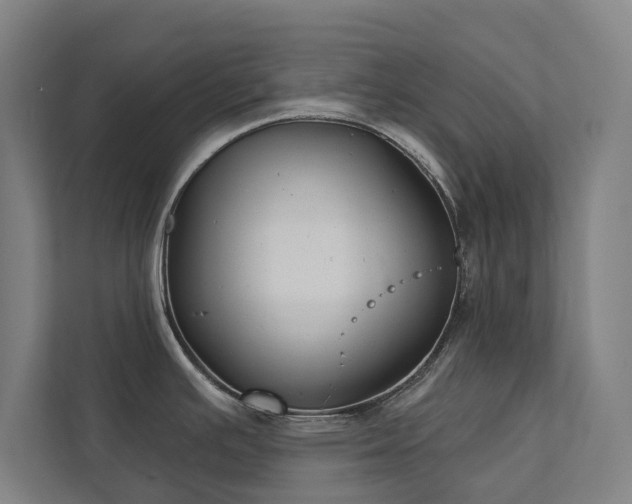 X0000111421391200907201039