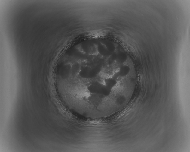 X0000111421393200907201038