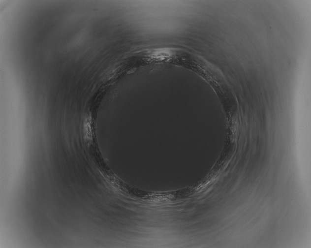 X0000111421394200907201038