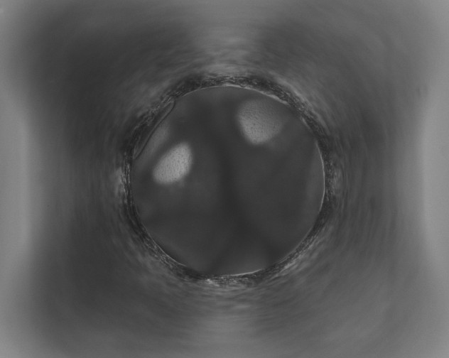 X0000111421397200907201038