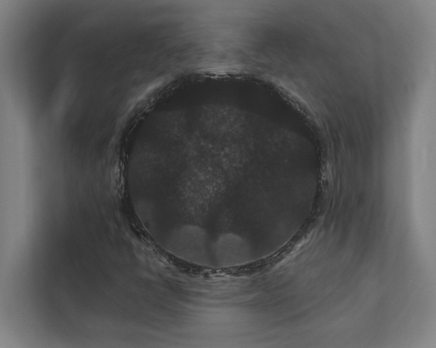 X0000111421398200907201038