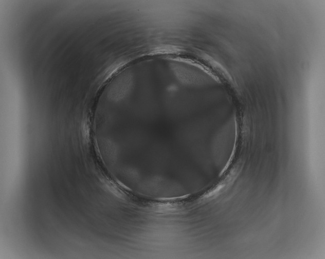 X0000111421401200907201038