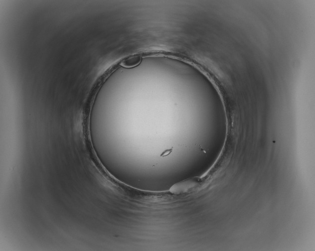 X0000111421404200907201038