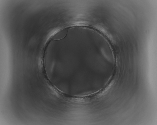 X0000111421405200907201038