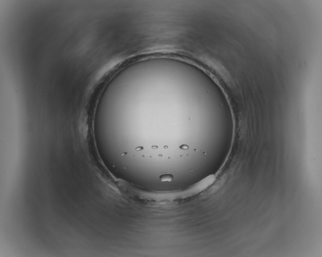 X0000111421406200907201038