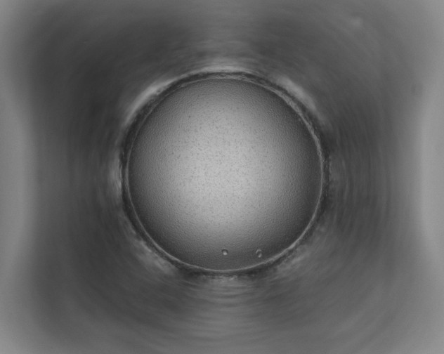 X0000111421408200907201038