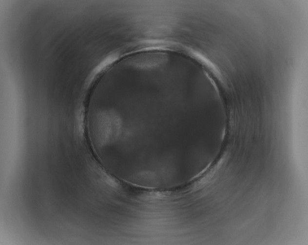 X0000111421411200907201038