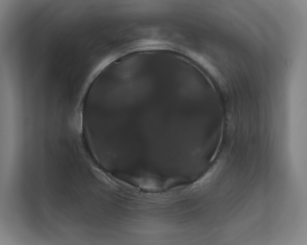 X0000111421413200907201038