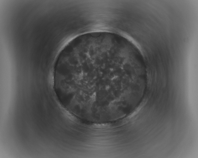 X0000111421415200907201038