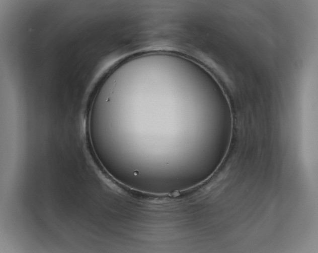 X0000111421416200907201038