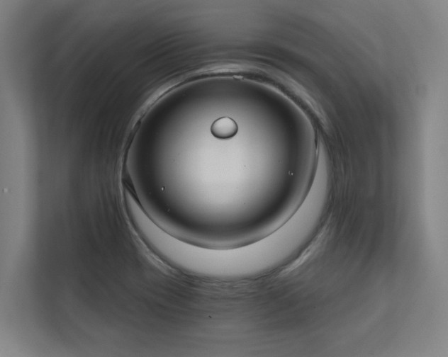 X0000111421417200907201038