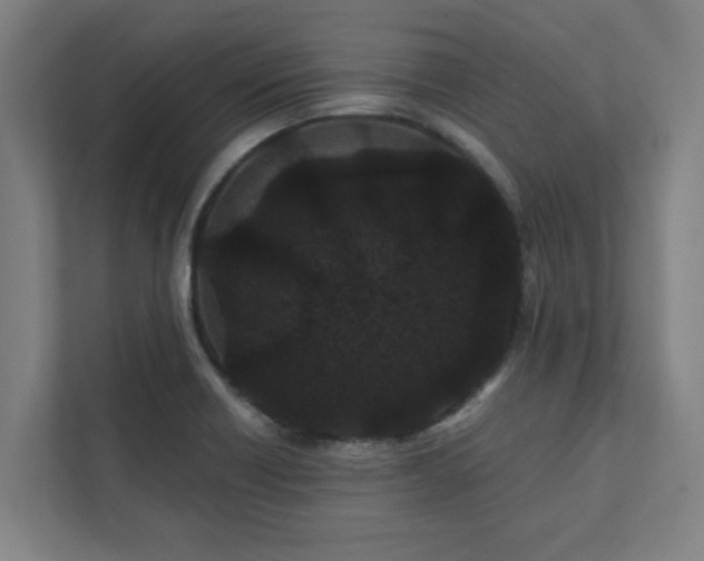 X0000111421418200907201039