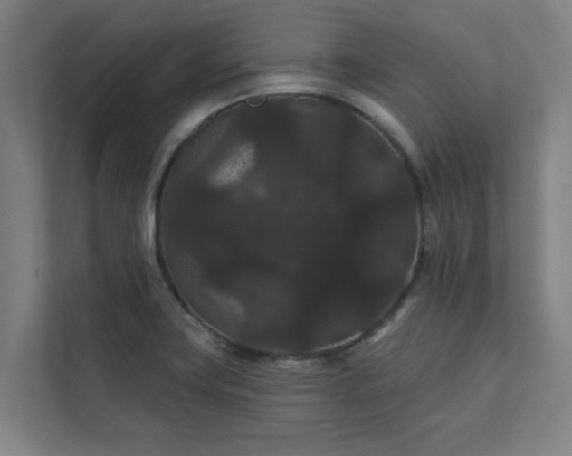 X0000111421419200907201039