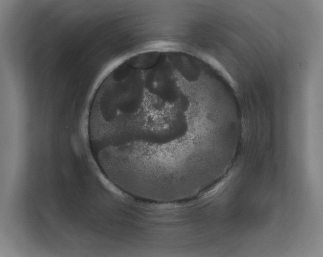 X0000111421421200907201039