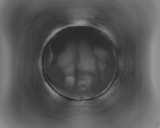 X0000111421422200907201039