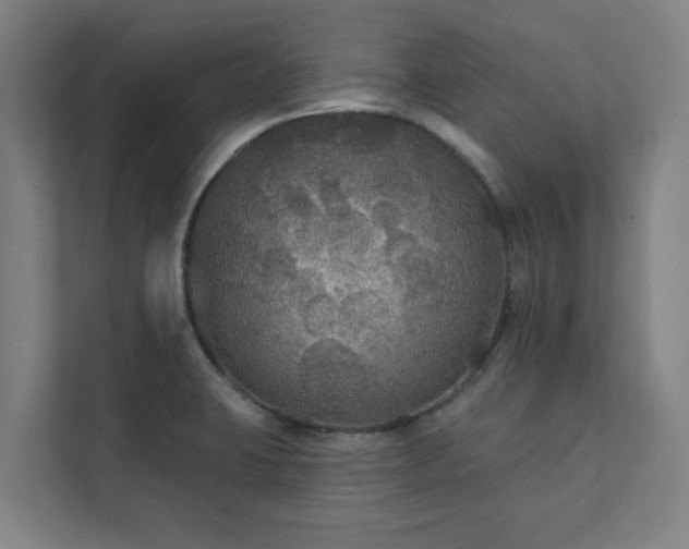 X0000111421423200907201039