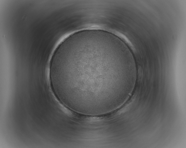 X0000111421424200907201039