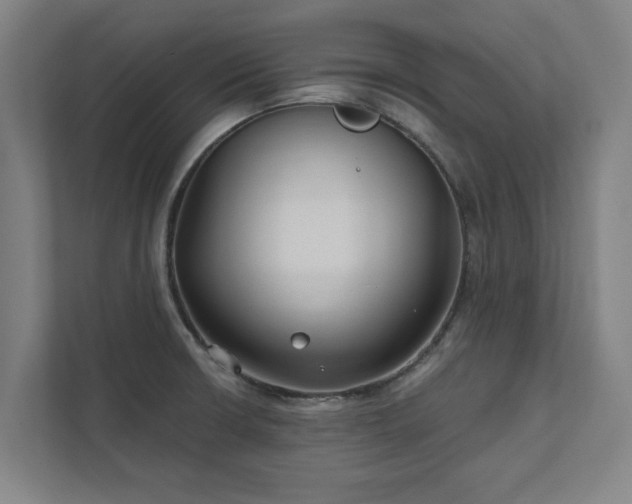 X0000111421426200907201039