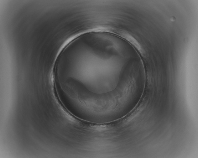 X0000111421428200907201039