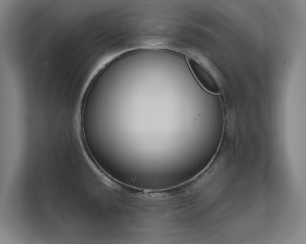 X0000111421432200907201039