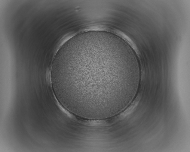 X0000111421433200907201039