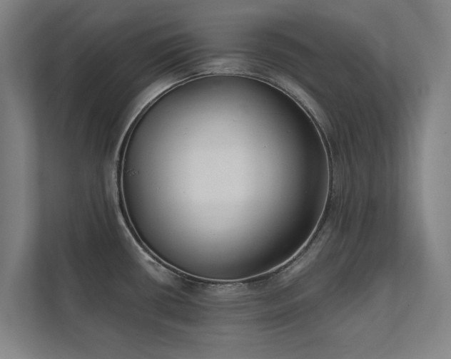 X0000111421434200907201039