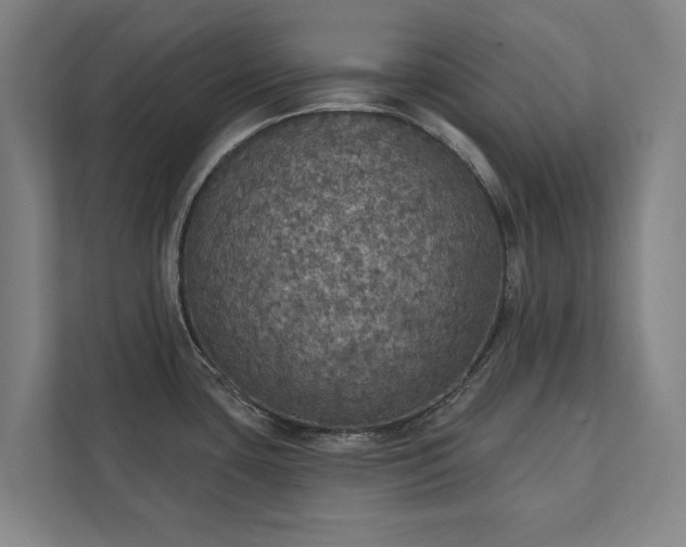 X0000111421435200907201039