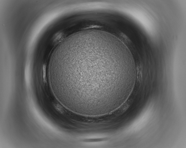 X0000111421439200907201039