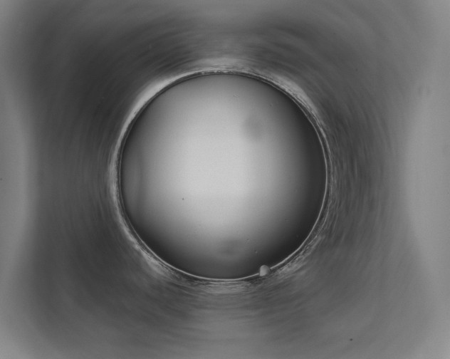 X0000111421440200907201039