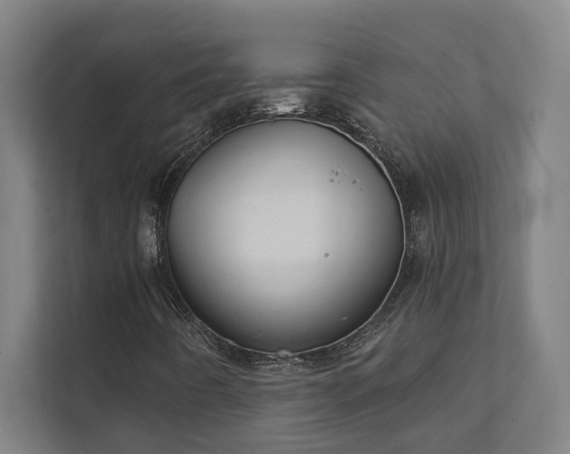 X0000111421442200907201038