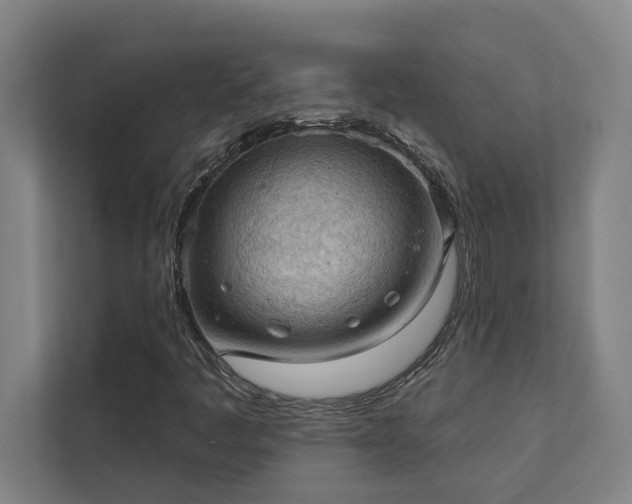 X0000111421445200907201038