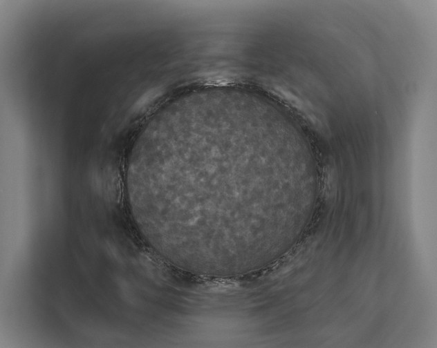 X0000111421446200907201038