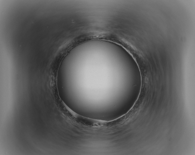 X0000111421447200907201038