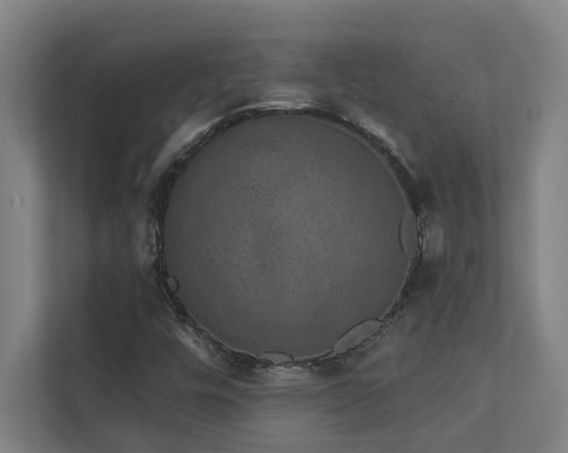 X0000111421448200907201038