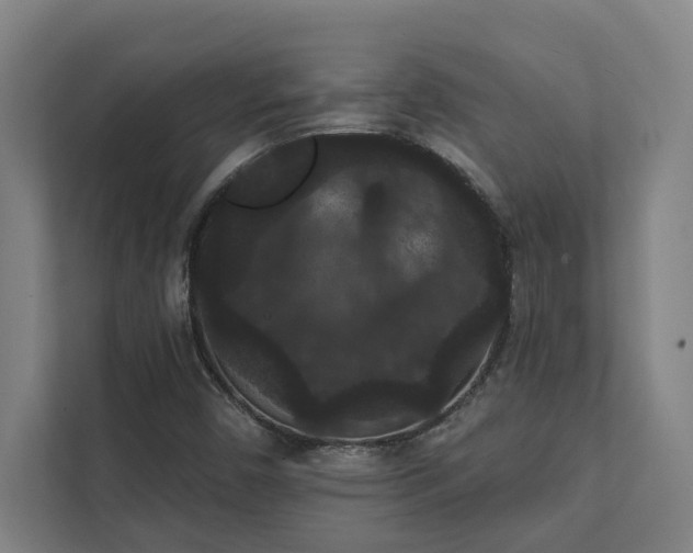 X0000111421450200907201038