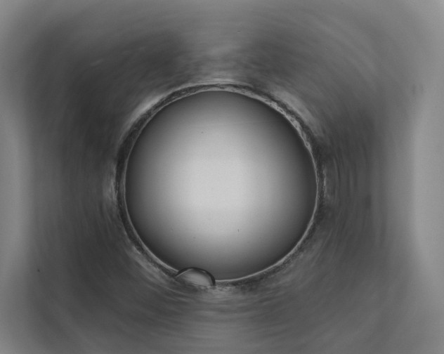 X0000111421452200907201038