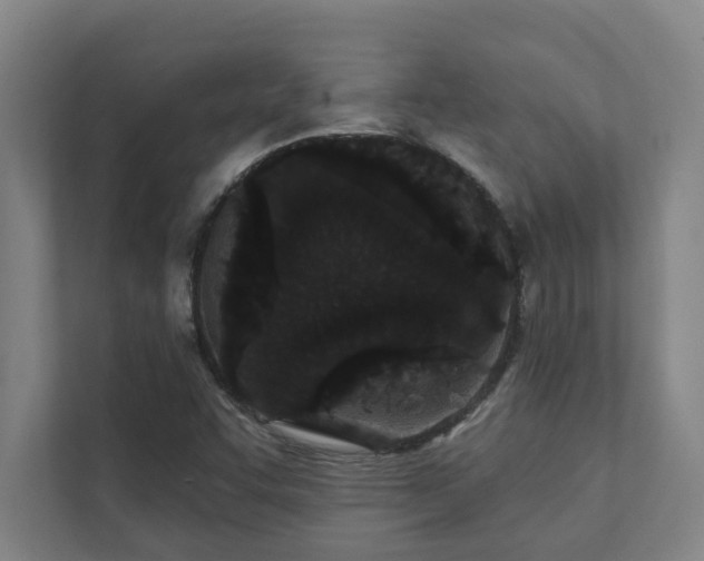 X0000111421455200907201038