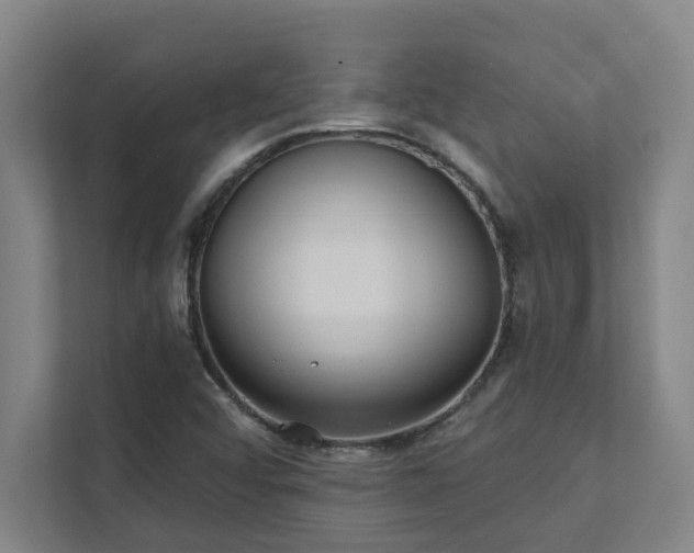 X0000111421456200907201038