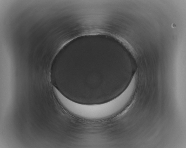 X0000111421457200907201038