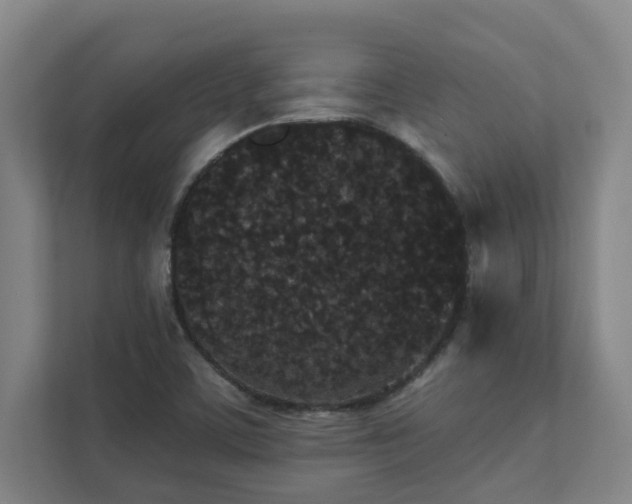 X0000111421459200907201038