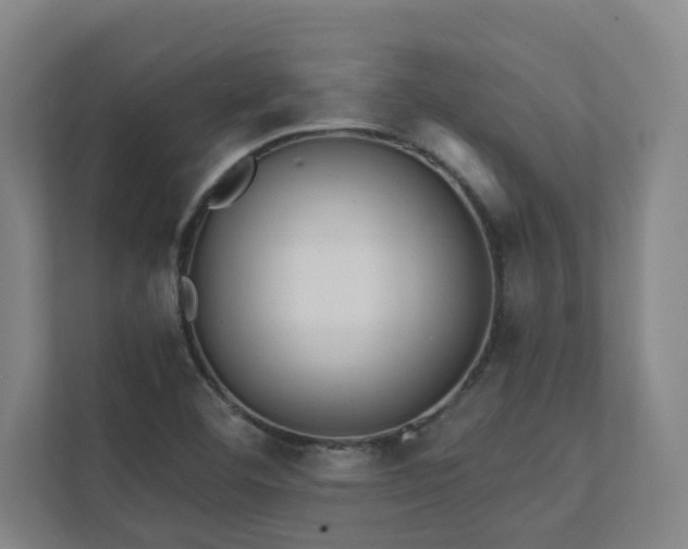 X0000111421460200907201038