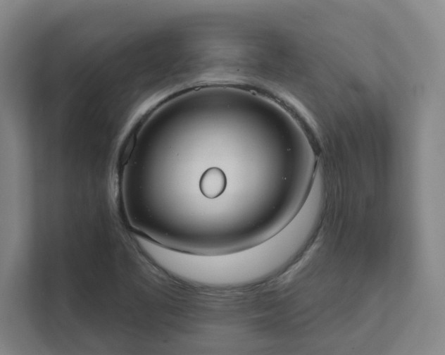 X0000111421461200907201038