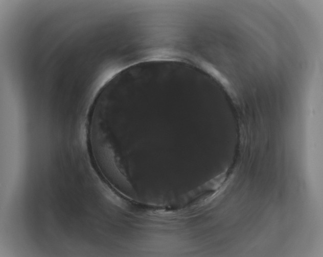 X0000111421463200907201038