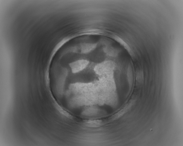 X0000111421466200907201038