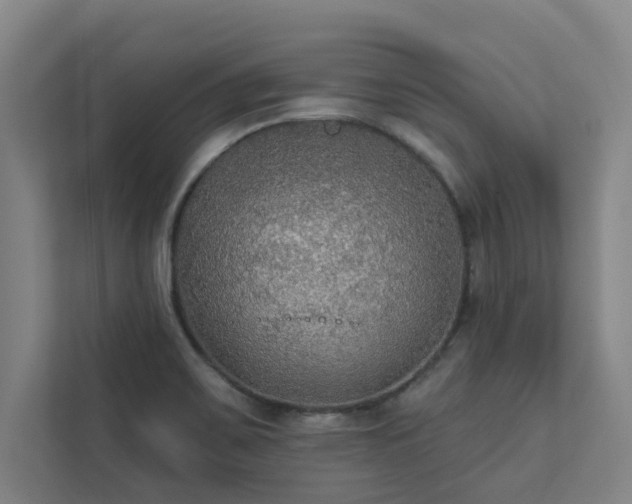 X0000111421467200907201038