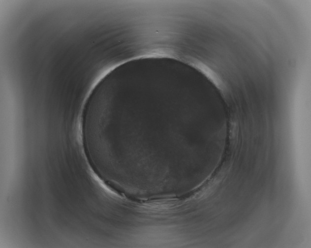 X0000111421468200907201038